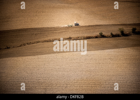 Tractor in field, Siena, Valle Orcia, Tuscany, Italy Stock Photo