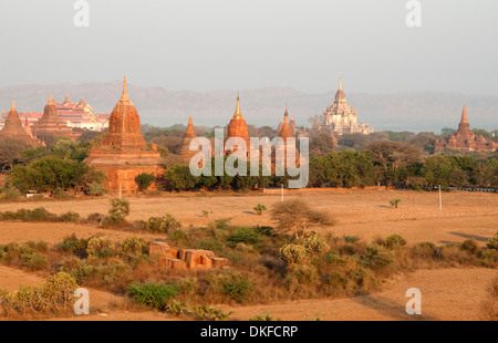 Red brick temples bin yellow sunrise light set in the dusty plains of Bagan Myanmar (Burma) Stock Photo