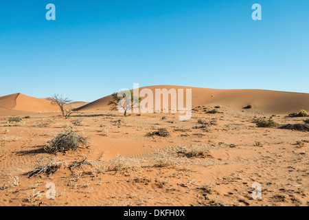 Dunes, Sossusvlei, Namib-Skeleton Coast National Park, Namibia Stock Photo