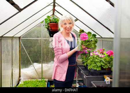 Mature woman tending flowers in greenhouse Stock Photo