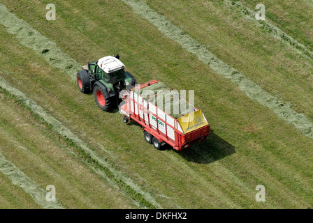 Aerial view, tractor harvesting forage crops, Hamburg, Germany Stock Photo