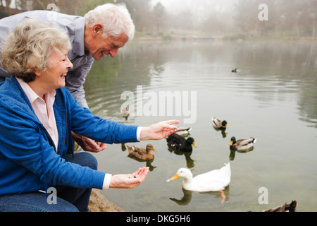 Husband and wife feeding ducks by the lake Stock Photo