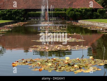 Waterlily Pond, Royal Horticultural Gardens Wisley, Woking, Surrey. Stock Photo