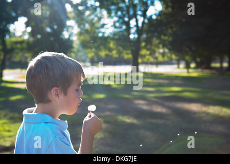 Boy blowing dandelion clock Stock Photo