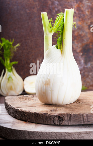 Fennel Stock Photo