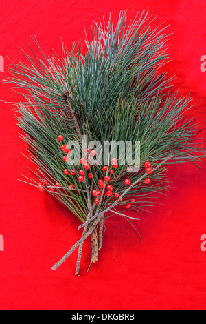 Beautiful green pine branches and decidious holly on red velvet. Stock Photo