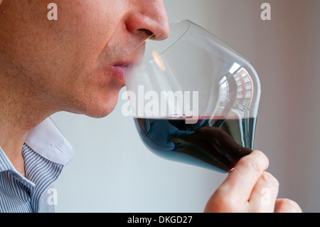 Wine taster drinking a glass of red wine. Close view. Stock Photo