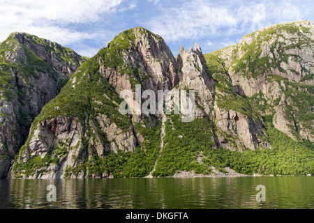 A huge animal-shaped rock formation stands amidst the cliffs above Western Brook Pond in Gros Morne National Park, Newfoundland Stock Photo