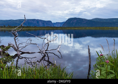 The cliffs of Western Brook Pond and silver driftwood are reflected in a pond at dusk in Gros Morne National Park, Newfoundland Stock Photo