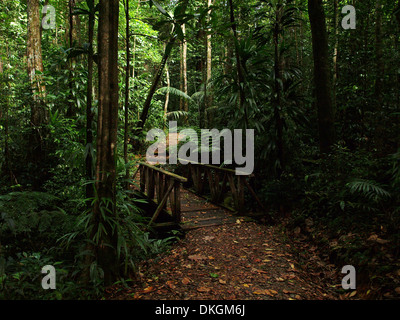 A wooden bridge surrounded by trees and greenery on the Syndicate trail in the Commonwealth of Dominica, Caribbean. Stock Photo