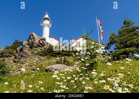 Lobster Cove Head Lighthouse on a daisy covered hillside in Gros Morne National Park, Newfoundland Stock Photo