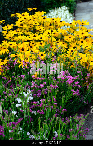 . Rose, Sunburst Stock Photo - Alamy