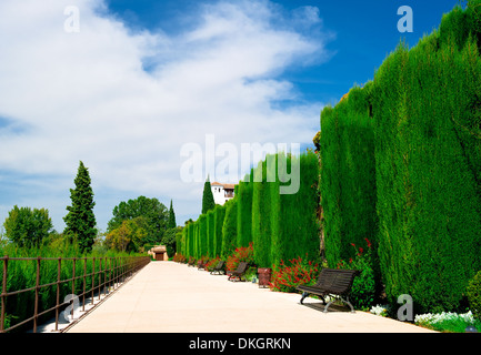 Alhambra garden in Granada, Spain Stock Photo