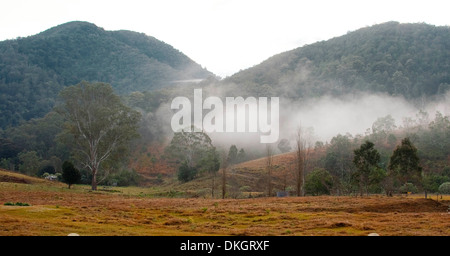 Landscape with dawn mist draped over forested hills at near the Macleay River near Kempsey, NSW Australia Stock Photo