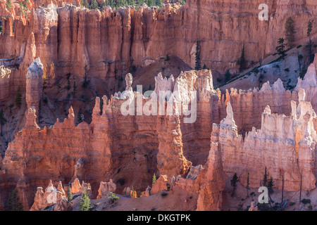 Hoodoo rock formations in Bryce Canyon Amphitheater, Bryce Canyon National Park, Utah, United States of America, North America Stock Photo