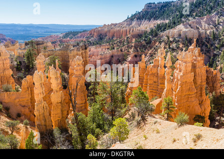 Hoodoo rock formations from the Fairyland Trail, Bryce Canyon National Park, Utah, United States of America, North America Stock Photo