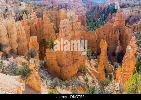 Hoodoo rock formations from the Fairyland Trail, Bryce Canyon National Park, Utah, United States of America, North America Stock Photo