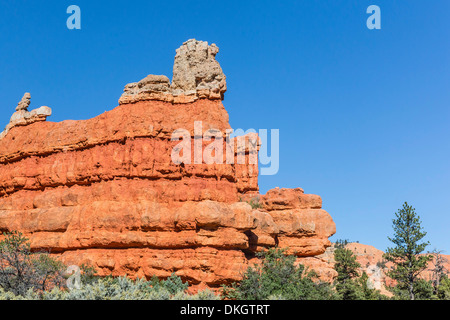 Red sandstone formations in Red Canyon, Dixie National Forest, Utah, United States of America, North America Stock Photo