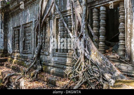 Beng Mealea Temple, overgrown and falling down, Angkor, UNESCO World Heritage Site, Siem Reap Province, Cambodia, Southeast Asia Stock Photo