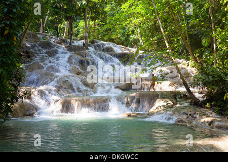 Dunns River Falls, Ocho Rios, Jamaica, West Indies, Caribbean, Central America Stock Photo