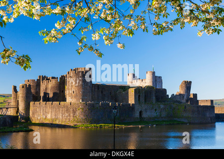 Caerphilly Castle, Gwent, Wales, United Kingdom, Europe Stock Photo