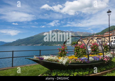 Flower boat, Domaso, Lake Como, Italian Lakes, Lombardy, Italy, Europe Stock Photo