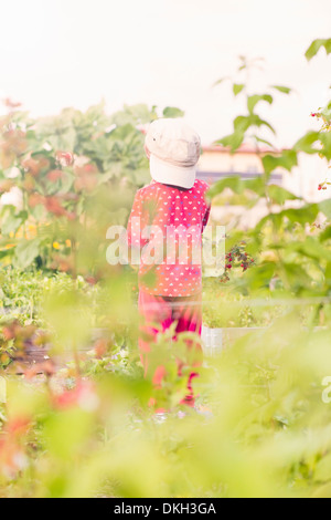 Back view of young child standing in garden watching green plants and flowers Stock Photo