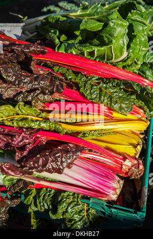 Rainbow Swiss Chard vegetables at a farmers market Stock Photo