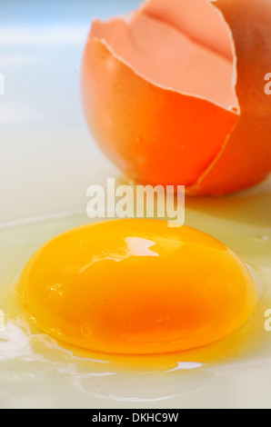 Broken egg isolated on white background Stock Photo