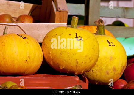 Seasonal fruit for sale- pumpkins and apples, Coughton Court , Alcester, Warwickshire, Great Britain Stock Photo