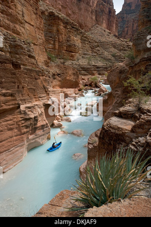 A man paddles a kayak in the slot canyon at the mouth of the Havasu River where it meets the Grand Canyon Stock Photo