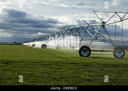 Irrigation booms spray water onto a pasture on the South Island of New Zealand Stock Photo