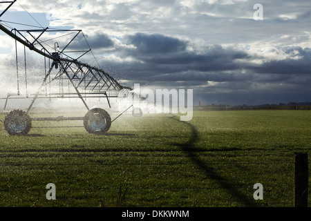 Irrigation booms spray water onto a pasture on the South Island of New Zealand Stock Photo