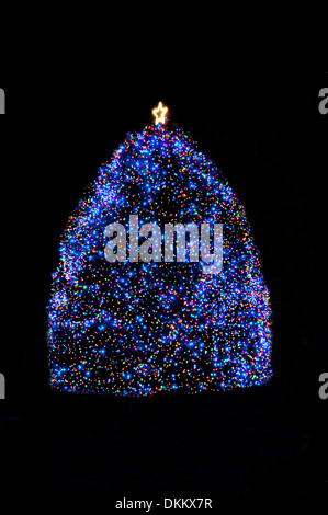 Idaho State Christmas Tree - 2013; Boise, Idaho USA Stock Photo
