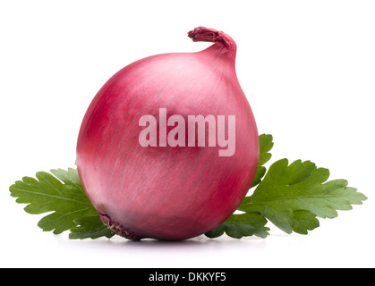 Onion vegetable bulb and parsley leaves still life isolated on white background cutout Stock Photo