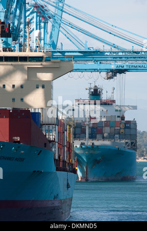 Maersk Line ship APM Terminals container ship port at Algeciras