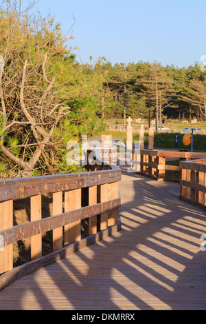 newborough boardwalk anglesey wales