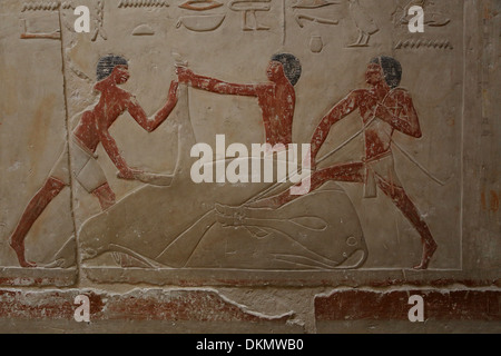 Butchers of ancient Egypt @ Saqqara - Tomb of Edut Stock Photo