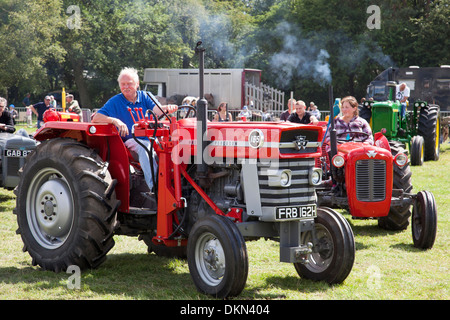 Massey Ferguson tractors at a vintage tractor show in the U.K. Stock Photo