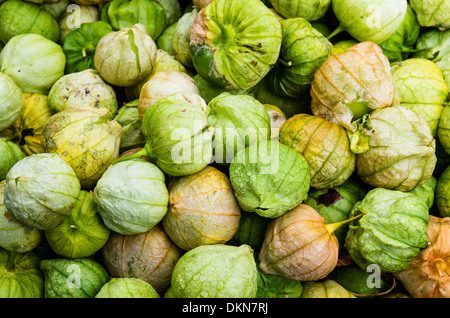 Tomatillos green with husks on display at a farmers market Stock Photo