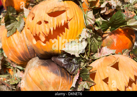 UK, London, Halloween pumpkins. Stock Photo