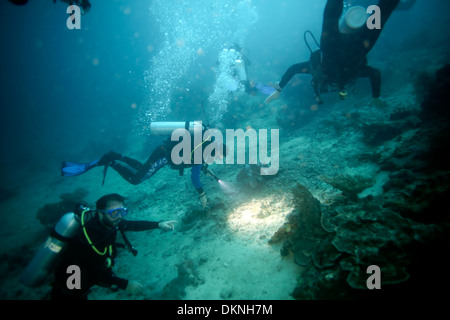 Scuba divers exploring coral reef in the Raja Ampat Islands, West Papua Stock Photo