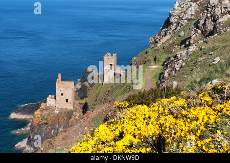 The Crowns engine houses at Botallack in Cornwall, UK Stock Photo