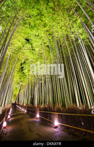 Bamboo forest of Kyoto, Japan. Stock Photo