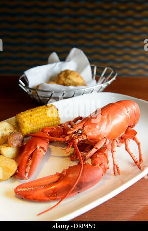 Roasted live marine red lobster served on plate Stock Photo