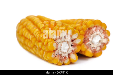closeup on corn cobs broken in two Stock Photo