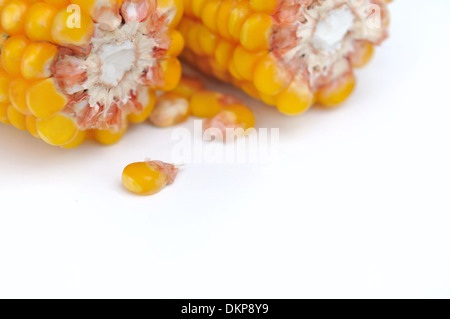 closeup on grain corn cobs broken in two Stock Photo