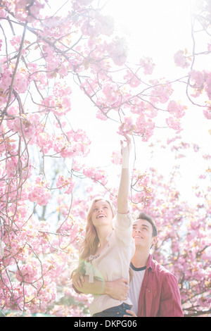Man lifting girlfriend to reach pink flowers on tree Stock Photo
