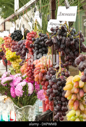 Different varieties of grapes on display during Independence Day festivities in Tiraspol, capital of Transnistria. Stock Photo