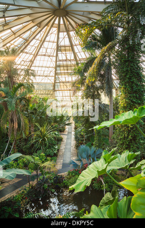 France, Alpes Maritimes, Nice, Phoenix Park, the greenhouse also called the Green Diamond 7.000m2 and 25 meters high Stock Photo